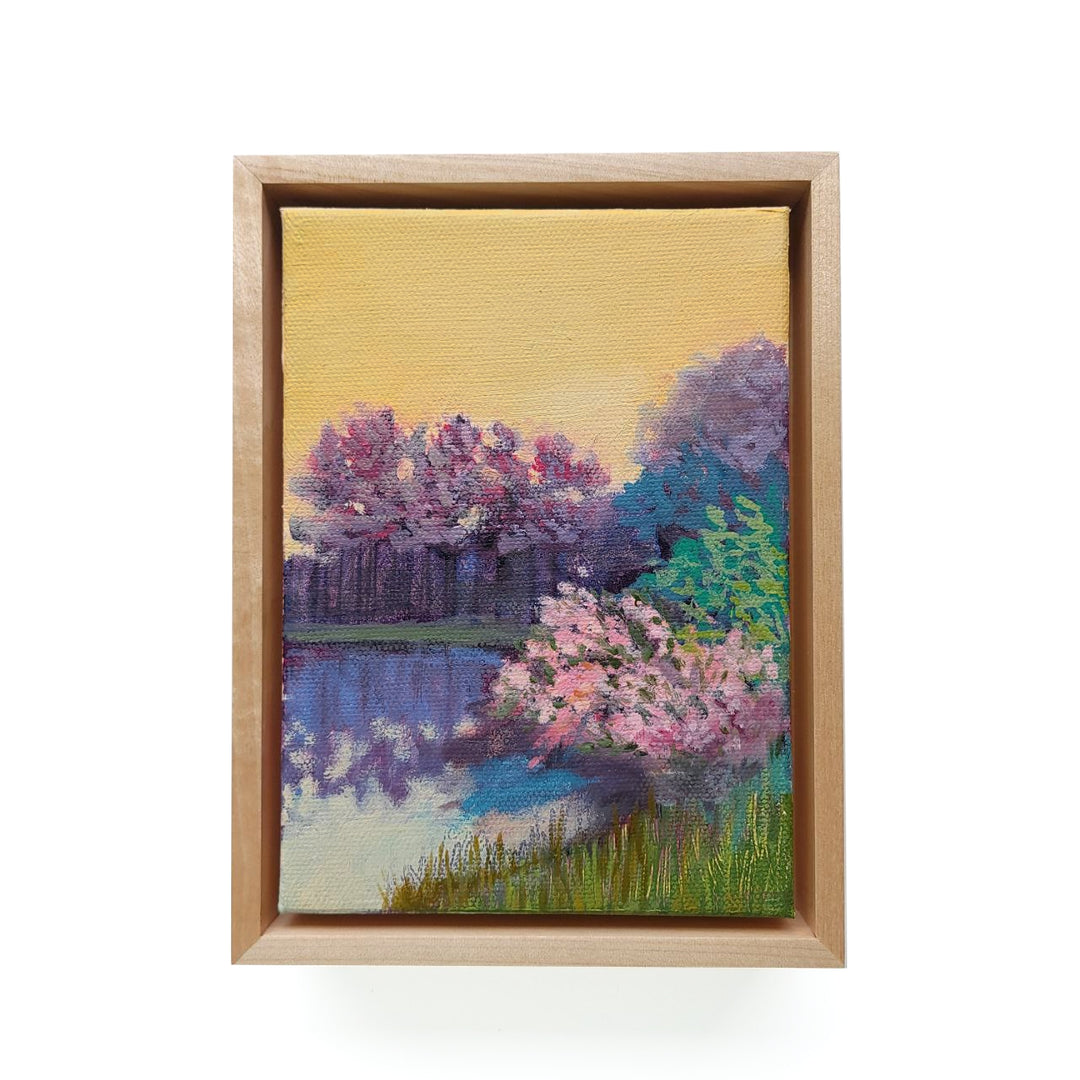 The Pond I
